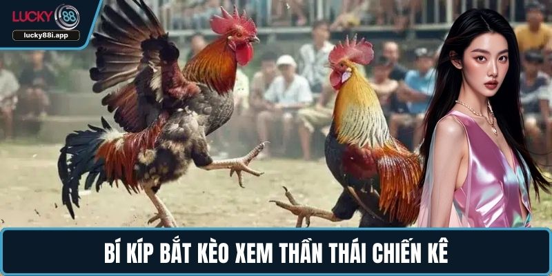 Bí kíp bắt kèo xem thần thái chiến kê