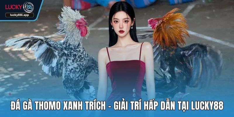 Đá gà Thomo Xanh Trích