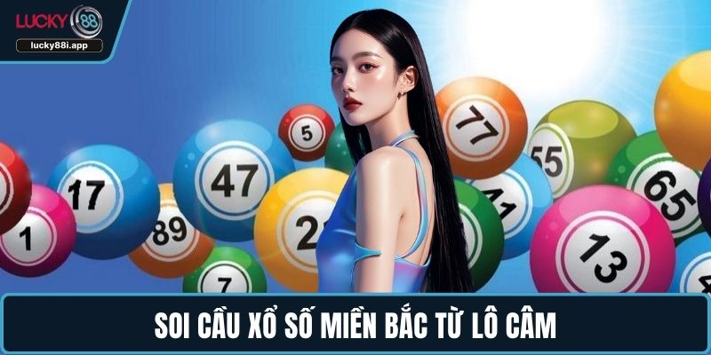 Soi cầu xổ số miền Bắc từ lô câm