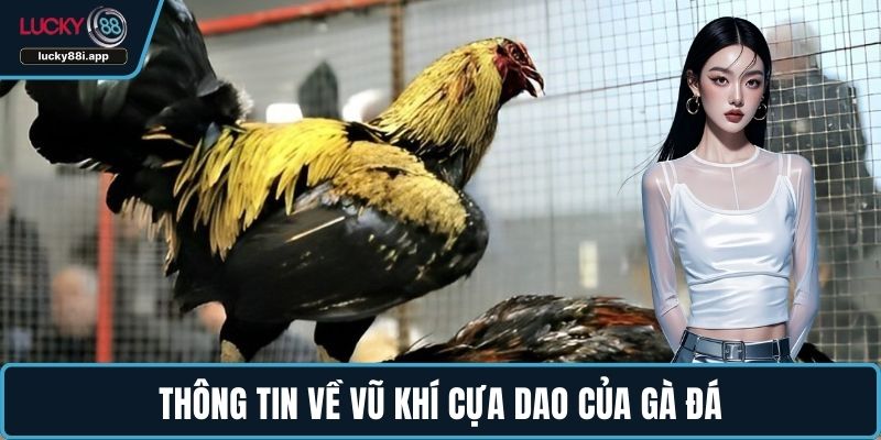 Thông tin về vũ khí cựa dao của gà đá